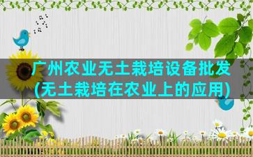 广州农业无土栽培设备批发(无土栽培在农业上的应用)