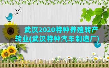 武汉2020特种养殖转产转业(武汉特种汽车制造厂)