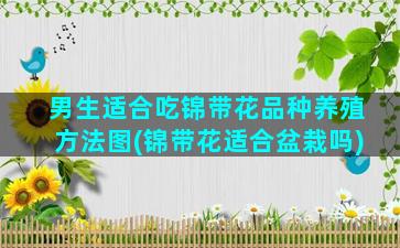 男生适合吃锦带花品种养殖方法图(锦带花适合盆栽吗)