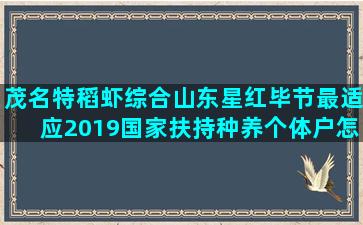 茂名特稻虾综合山东星红毕节最适应2019国家扶持种养个体户怎样注册